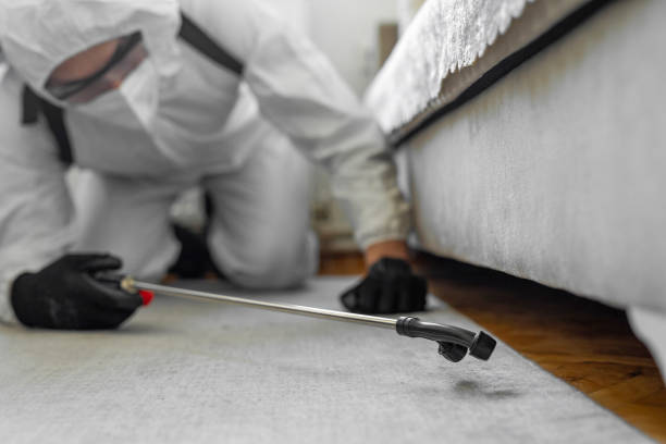Professional Bed Bug Control technician working in Cairo, GA